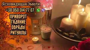 ������� �� ������ ����. ������� �� ������ ��������. �������� �����. - ����������� 1