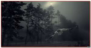 ������� �� ������ ���� (�������, ����������� �����, skype). �������� - ����������� 1