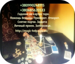 ������� � ����������: ������� �� ������ ����, ��������, �����. ��������. ���������� ������. ������ �����. ���������