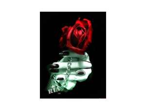 ������� �� ������ ����, �������� �������� - ����������� 1