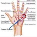 ������� � ����������: ������� �� ������ ����. ���������� ������.