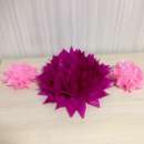 ������� �� ������ ����� ��� ��������� ���� - ����������� 1