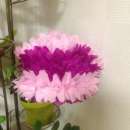 ������� �� ������ ����� ��� ��������� ���� - ����������� 3