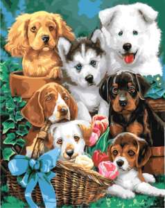 ������� �� ������� - ����������� 1