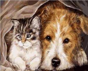 ������� �� ������� Mariposa - ����������� 1