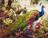 ������� �� ������� Mariposa - ����������� 2