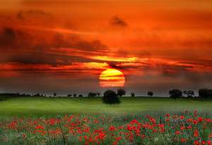 ������� �� ������� �� �����, ���� ���������� �� �������, ��� ������� 1 ���, ���� ������� ���� �� ����� - ����������� 1