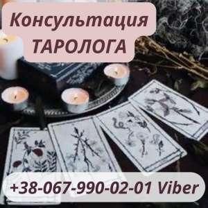 ������� �� �������. ������ �����������. �������� ��������. �������. ������ ����������� �� ����������. ���������� ������ - ����������� 1