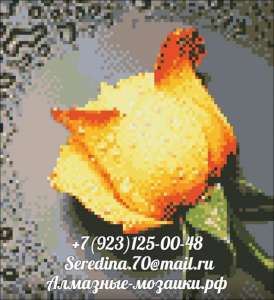 ������� �� ������� �������� ������� ������� - ���� - ����������� 1