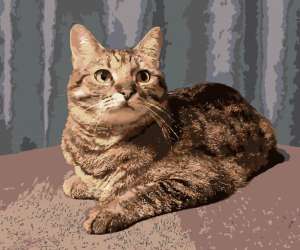 ������� �� �������� �� ���� - ����������� 1