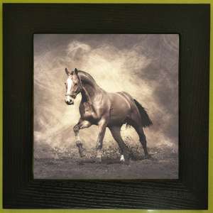 ������� �� ��������. �������. �������. �����. ����� ����. - ����������� 1