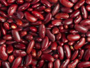 ������� �� ��������� - ��� ���� ������������ - ����������� 1