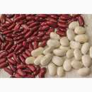 ������� � ����������: ������� �� ��������� ����� �����