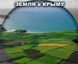 ������� � ����������: ������� �� ��������� ������� ����.�������������.