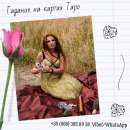 ������� � ����������: ������� �� ����������. ������������ �������� �����������.