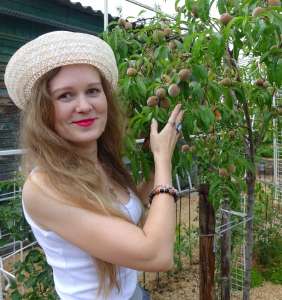 ������� �� ����������� ���� - ����������� 1