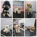 ������� �� ����������� �������!. ������ ��� �������� - ������