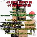 ������� � ����������: ������� ���