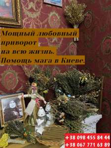 ������� ��� � �����. �������� �� ����. �������. �������. - ����������� 1