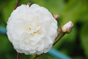 ������� ��� � ��������� �� ��������� - ����������� 1