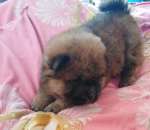 ������� ��� ��� ���� ����� ������� ����� - ����������� 2