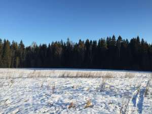 ������� ��� ���, ������������� �., 20 �� �� ����. ������� ���, �����, ����� - ����������� 1