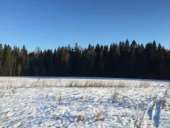 ������� � ����������: ������� ��� ���, ������������� �., 20 �� �� ����. ������� ���, �����, �����