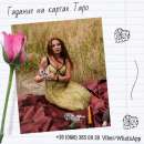 �������. ��� ���� ������� �� ����. - ����������� 1