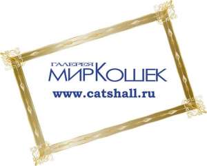 ������� ��� ����� - ����������� 1