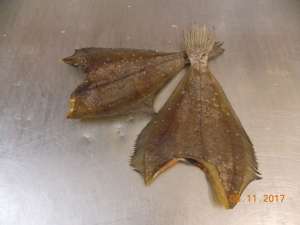 ������� ��� ������� - ����������� 1