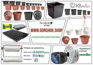 ������� ��� ������� � ���� - �������� �a�a���� ��������� ��� ������ ������.��� - ����������� 1