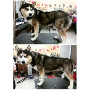 ������� ��� ������� ��� ���� ������� �����. - ����������� 1