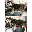 ������� ��� ������� ��� ���� ������� �����.