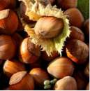 ������� ��� - ������� ����� ���������� ����� ��������� ����� �������� - ����������� 2