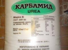 �������, ���, �������� (����������� ���������) �� �������, �� �������.. - ����������� 1