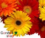 ������� ��� ��������� (������) ����� �� � ������ - ����������� 2