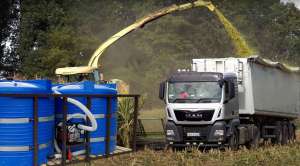 ������� ��� ��������� �������� ��� - ����������� 1