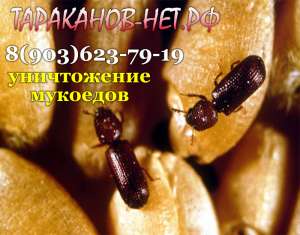 �������. ��� ����������, ���������, �������? ��������� ����� �� ��������. - ����������� 1