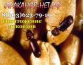 ������� � ����������: �������. ��� ����������, ���������, �������? ��������� ����� �� ��������.