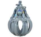 ������� ���� PFV-P