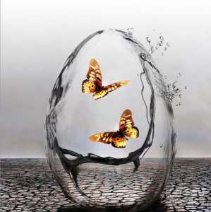 ������� ���� �� �������� - ����������� 1