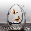 ������� � ����������: ������� ���� �� ��������