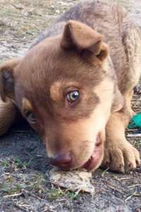 ������� ���� ��� - ����������� 1