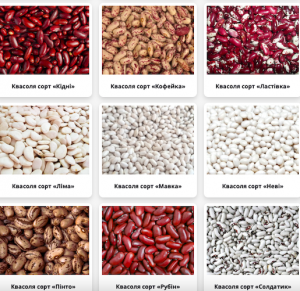 ������� ����, ���, �������, ����� �����, �������, ˳��, �����, ���, ϳ���, ���� �� �� - ����������� 1