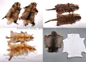 ������� ����/ ����� ����, ����� - ����������� 1