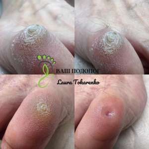 ������� ����, ����� �����, ��������. ������� ������, ������, ������� - ����������� 1