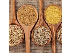 ������� ���� �����. �������� ���� � ���������. - ����������� 1