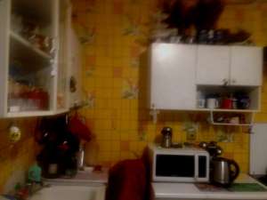 ������� ���� ������ ���. 0635982944 - ����������� 1