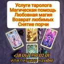 ������� ����. ������. ������� �������. ������������.