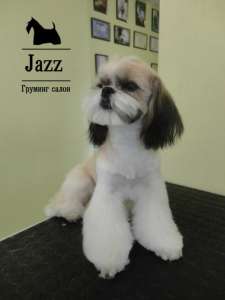 ������� ����, ������� ����� - ����������� 1